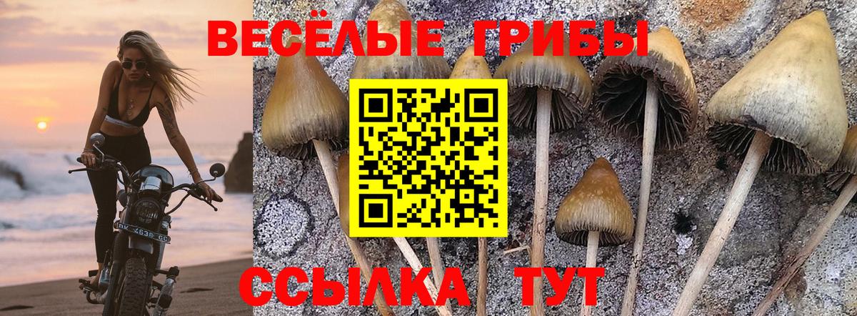 Галлюциногенные грибы мицелий  Псилоцибиновые грибы мицелий  Вход с VPN  Прохладный 